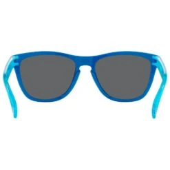 Lunettes De Soleil Oakley Frogskins Hi Res Polished Sapphire Prizm Black -Maui Jim Boutique aad223c1ff11595a8e239fd42fd4c59f5d41f7d7 H15OAKLLUN2557317 OAKL0049911 14